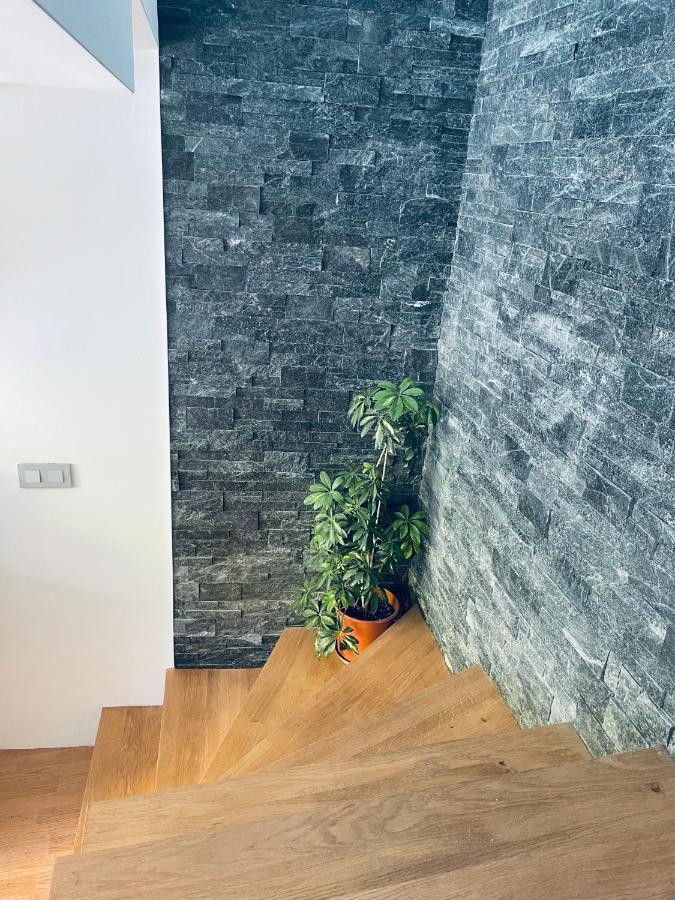 Duplex Dent D'Oche Daire Bernex Dış mekan fotoğraf